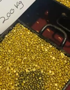 Whatsapp-Video-2026-02-19-At-1_7.jpeg
