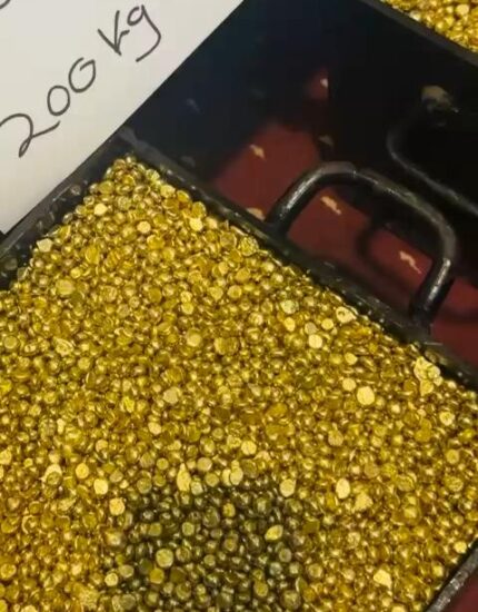 Whatsapp-Video-2026-02-19-At-1_7.jpeg