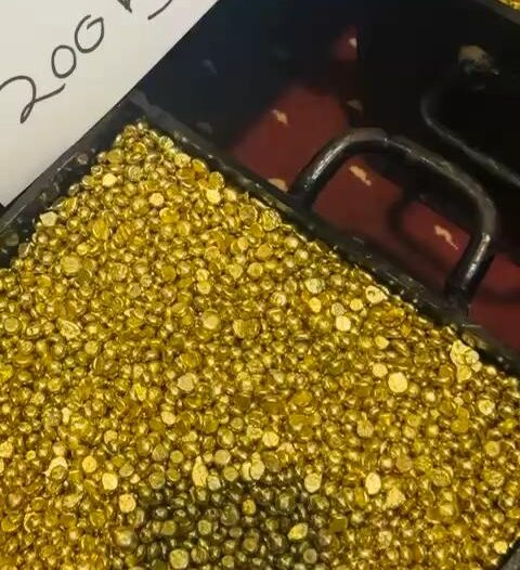 Whatsapp-Video-2026-02-19-At-1_7.jpeg Whatsapp-Video-2026-02-19-At-1_7.jpeg
