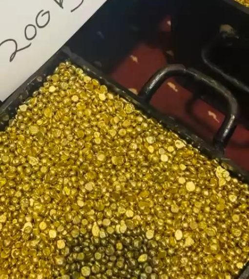 Whatsapp-Video-2026-02-19-At-1_7.jpeg